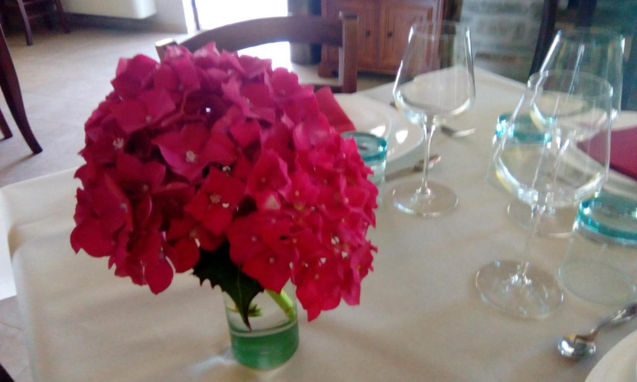 Agriturismo Nizur'In Roccaverano 外观 照片